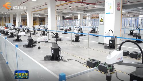 東莞要聞 影視拍攝新熱點